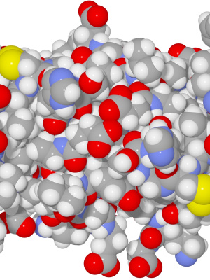 10. Biochemistry