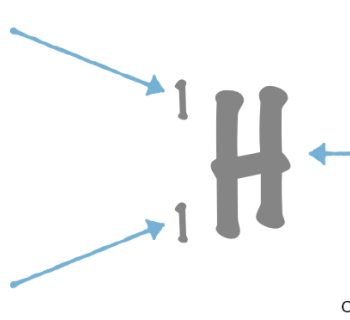 1.5. Atomic Number, Mass Number, and Atomic Mass