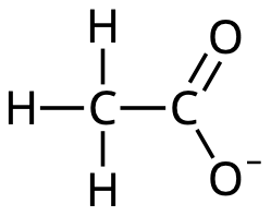 An acetate ion.