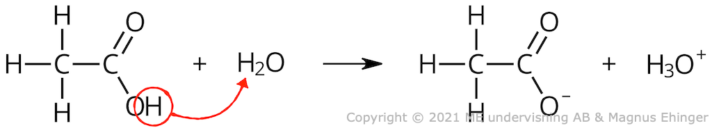When acetic acid reacts with water, the indicated hydrogen ion is donated to the water molecule.