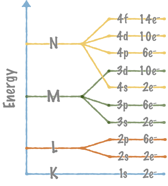 The orbitals' energy levels.